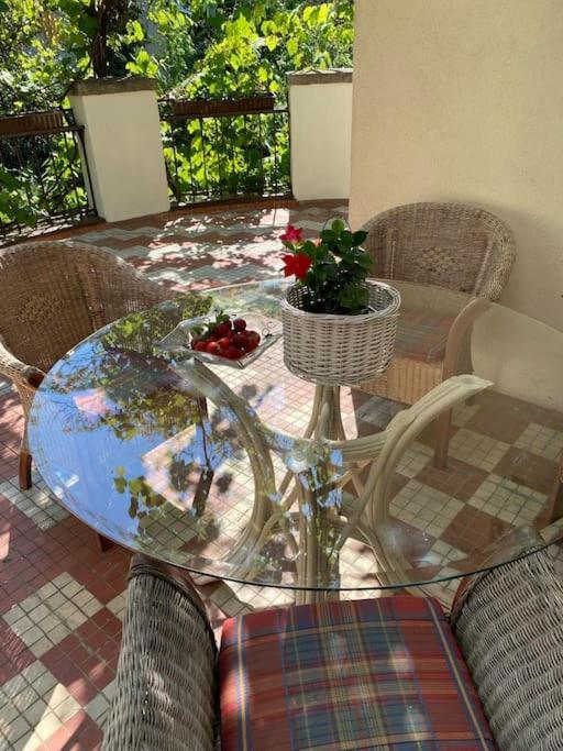 Appartamento Oaza Borek - Stylowy