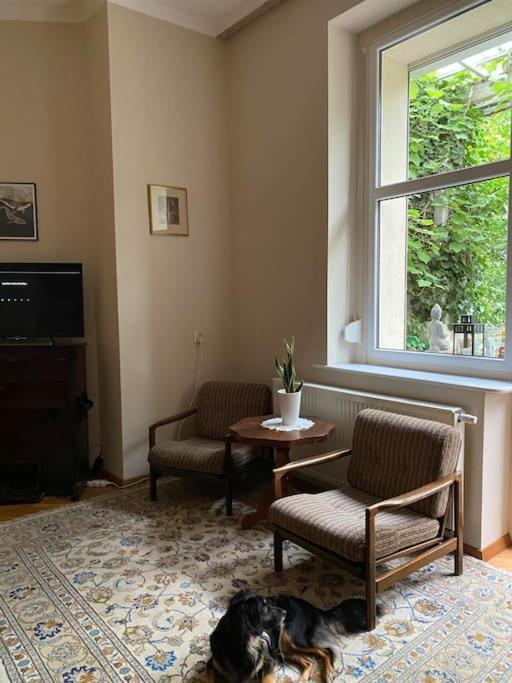 Oaza Borek - Stylowy Apartment *