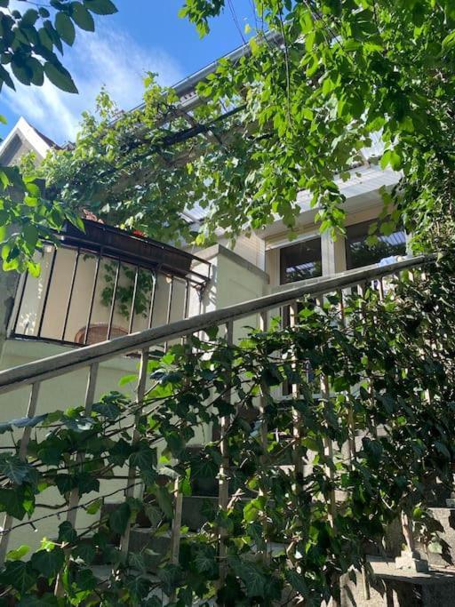 Apartment Oaza Borek - Stylowy
